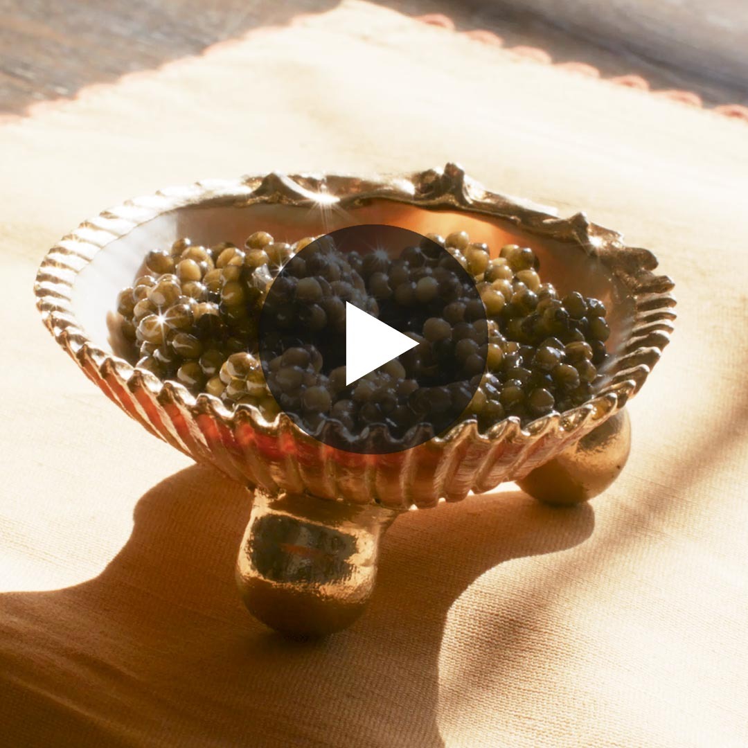 https://cdn.shopify.com/videos/c/o/v/81fcebc8b9094ac2817a503468eccb53.mp4