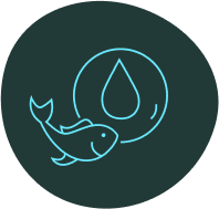 icon3