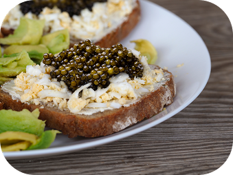 Sturgeon caviar brands compared with premium caviar served on toasted bread