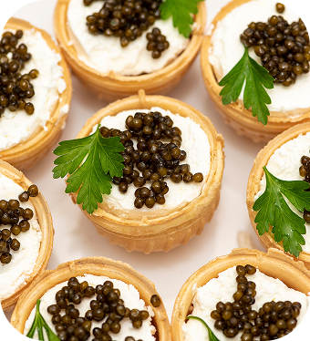 Premium caviar brands showcasing fresh Kaluga sturgeon caviar with transparent sourcing and quality